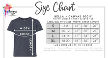 Load image into Gallery viewer, PREORDER CLOSES 6/14 (EXPECTED 6/30) HUDSON PIRATES License Plate YOUTH T-Shirt