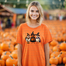 Load image into Gallery viewer, PREORDER Halloween Witch Chicken