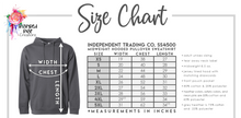 Load image into Gallery viewer, PREORDER CLOSES 6/14 (EXPECTED 6/30)  HUDSON PIRATES License Plate ADULT Hooded Sweatshirt
